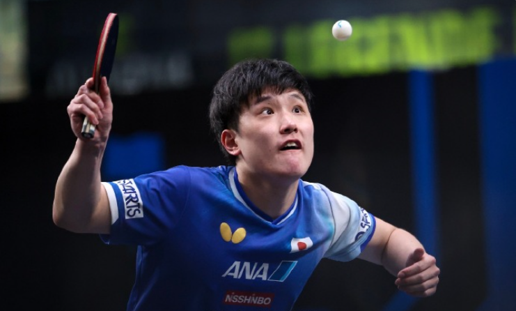 横扫了米洛, 不强, Zootf 横扫了米洛, 不强, Zootf